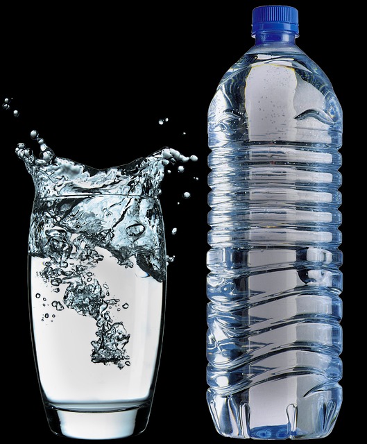 Water Bottle in 2023